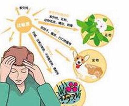 会导致过敏的过敏原有哪些呢
