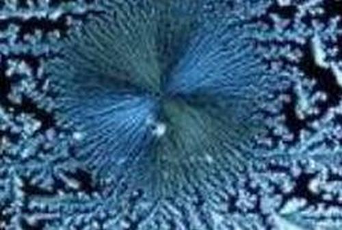 软骨粘液样纤维瘤病怎样的临床症状