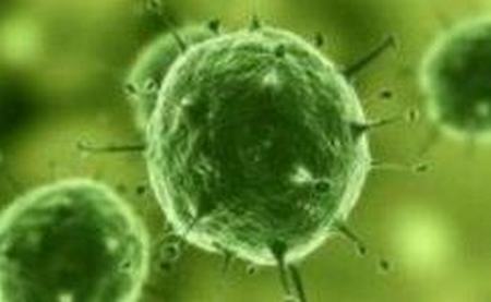 发生牙龈纤维瘤病后需要怎样来进行鉴别诊断呢