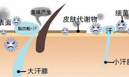 得了狐臭怎么办才好